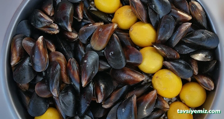 İnci Midye Dolma İnci Midye Dolma
