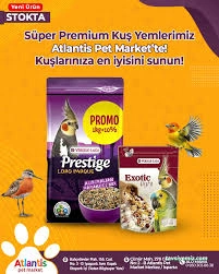 Isparta Atlantis Pet Market Isparta Atlantis Pet Market