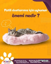 Isparta Atlantis Pet Market Isparta Atlantis Pet Market