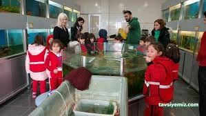 İstanbul Koleji Anaokulu - Sinop Anaokulu İstanbul Koleji Anaokulu - Sinop Anaokulu