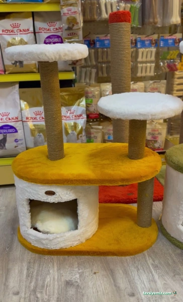 Jetpet Market