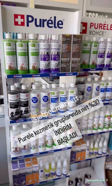 Jetpet Market