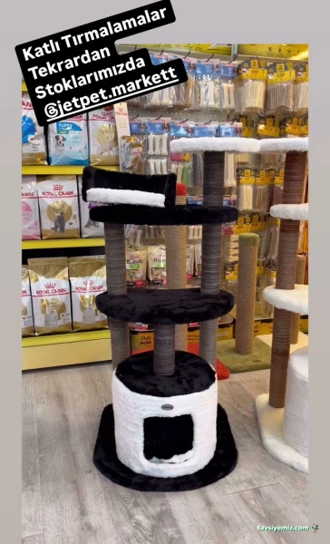 Jetpet Market