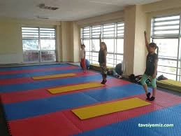 Jimnastik Kulübü Jimnastik Kulübü
