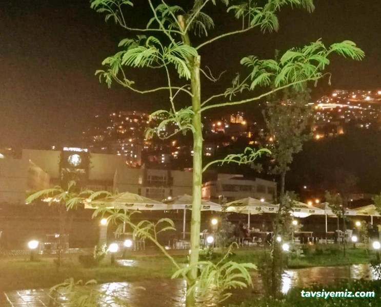 Joker Çoruh Park