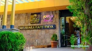 Kafem Tavusbaba Kafem Tavusbaba