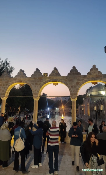 Kahramanmaraş Ardıç Taşımacılık Servis & Tur Kahramanmaraş Ardıç Taşımacılık Servis & Tur