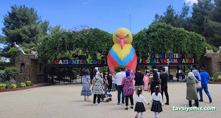 Kahramanmaraş Ardıç Taşımacılık Servis & Tur Kahramanmaraş Ardıç Taşımacılık Servis & Tur