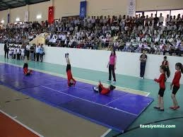 Kahramanmaraş Tosyalı Taekwondo-Cimnastik Ve Futbol Kulubü Kahramanmaraş Tosyalı Taekwondo-Cimnastik Ve Futbol Kulubü