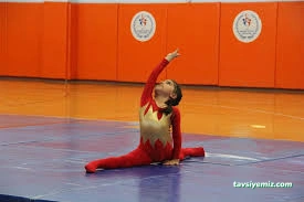 Kahramanmaraş Tosyalı Taekwondo-Cimnastik Ve Futbol Kulubü Kahramanmaraş Tosyalı Taekwondo-Cimnastik Ve Futbol Kulubü