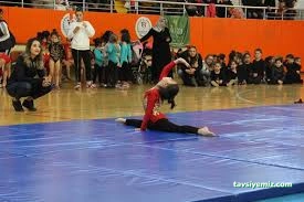 Kahramanmaraş Tosyalı Taekwondo-Cimnastik Ve Futbol Kulubü Kahramanmaraş Tosyalı Taekwondo-Cimnastik Ve Futbol Kulubü