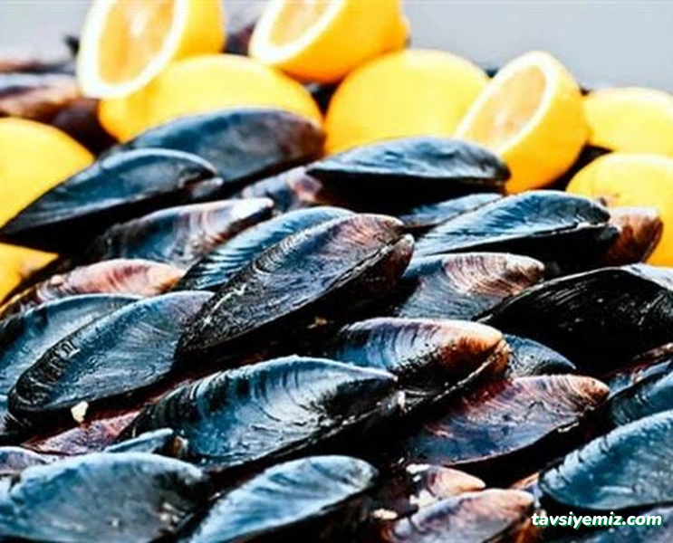 Kahta Çiğ Köfte & Midye & Soğuk Meze Kahta Çiğ Köfte & Midye & Soğuk Meze