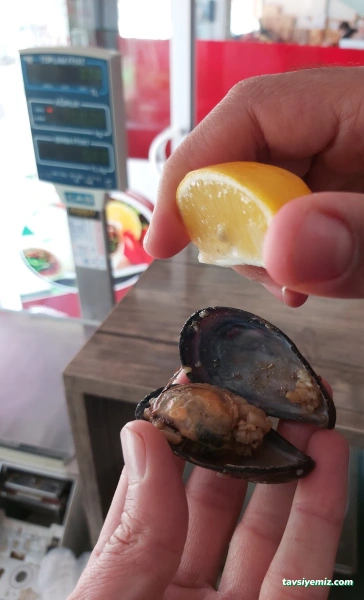 Kahta Çiğ Köfte & Midye & Soğuk Meze Kahta Çiğ Köfte & Midye & Soğuk Meze