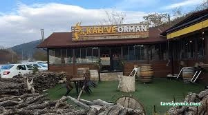 Kahve Orman