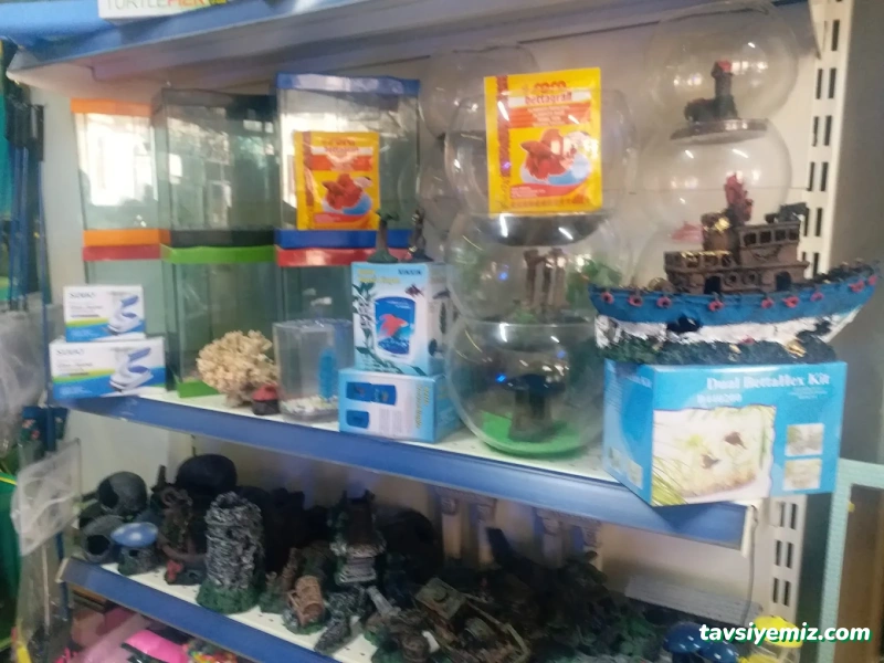 Karadeniz Akvaryum Karadeniz Akvaryum