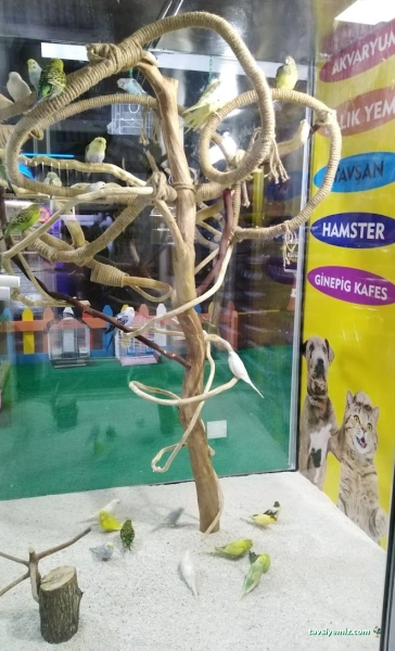 Karadeniz Petshop Kocaeli