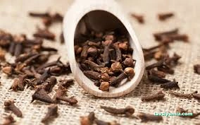 Karanfil Baharat