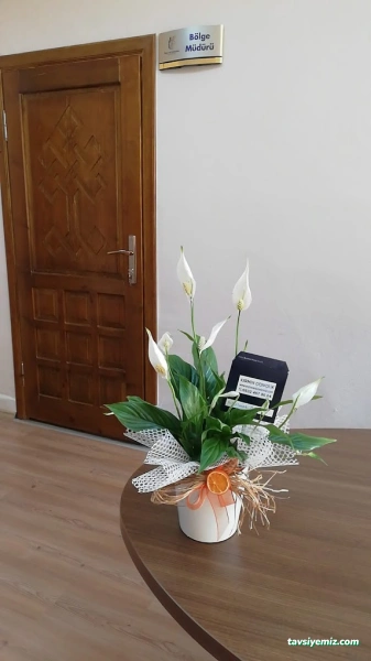 Karmen Çiçekçilik Karmen Çiçekçilik