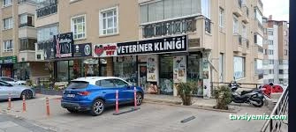 Kars, Uğur Pet Veteriner Kliniği Kars, Uğur Pet Veteriner Kliniği