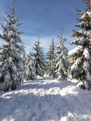 Kartepe Kayak Evi Kartepe Kayak Evi