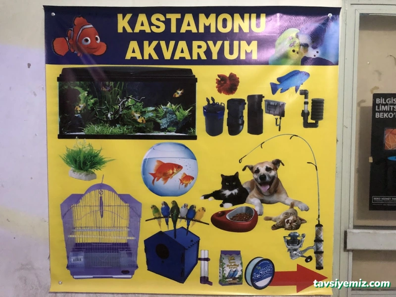 Kastamonu Akvaryum Kastamonu Akvaryum