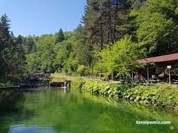 Kastamonu Baldiran Alabalik Lokantasi Kastamonu Baldiran Alabalik Lokantasi