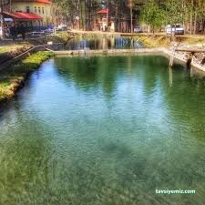 Kastamonu Baldiran Alabalik Lokantasi Kastamonu Baldiran Alabalik Lokantasi