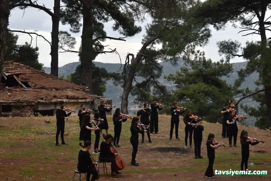 Kaya Sanat Akademi Kaya Sanat Akademi