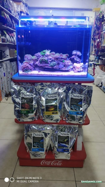 Kayahan Petshop (Akvaryum Balık Avm) Kayahan Petshop (Akvaryum Balık Avm)