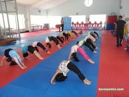 Kayseri Cimnastik Spor Kulübü Kayseri Cimnastik Spor Kulübü
