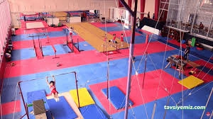 Kayseri Cimnastik Spor Kulübü Kayseri Cimnastik Spor Kulübü