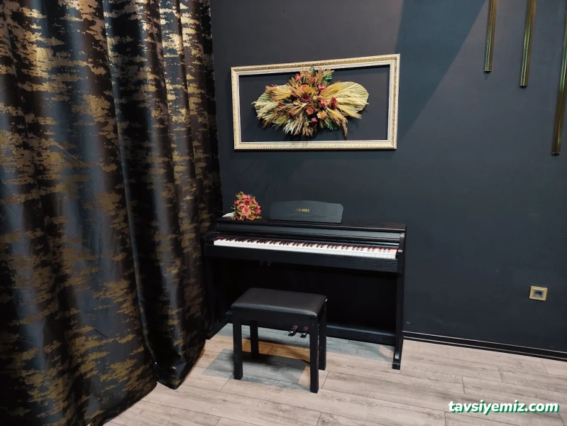 Kayseri Karaoke Piano Party House Kayseri Karaoke Piano Party House