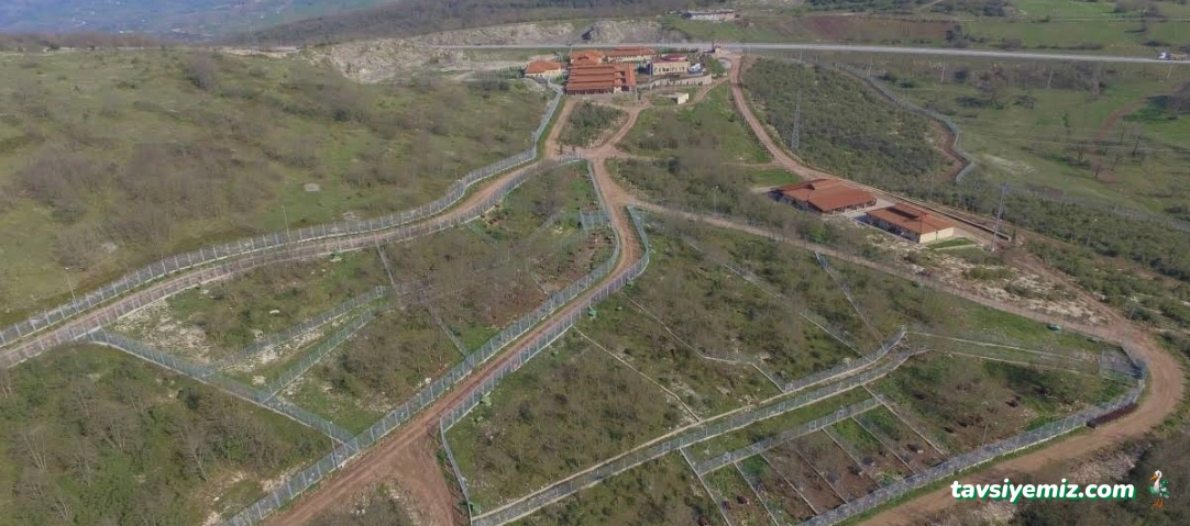 Kbb Sokak Hayvanları Geçici Bakım Evi