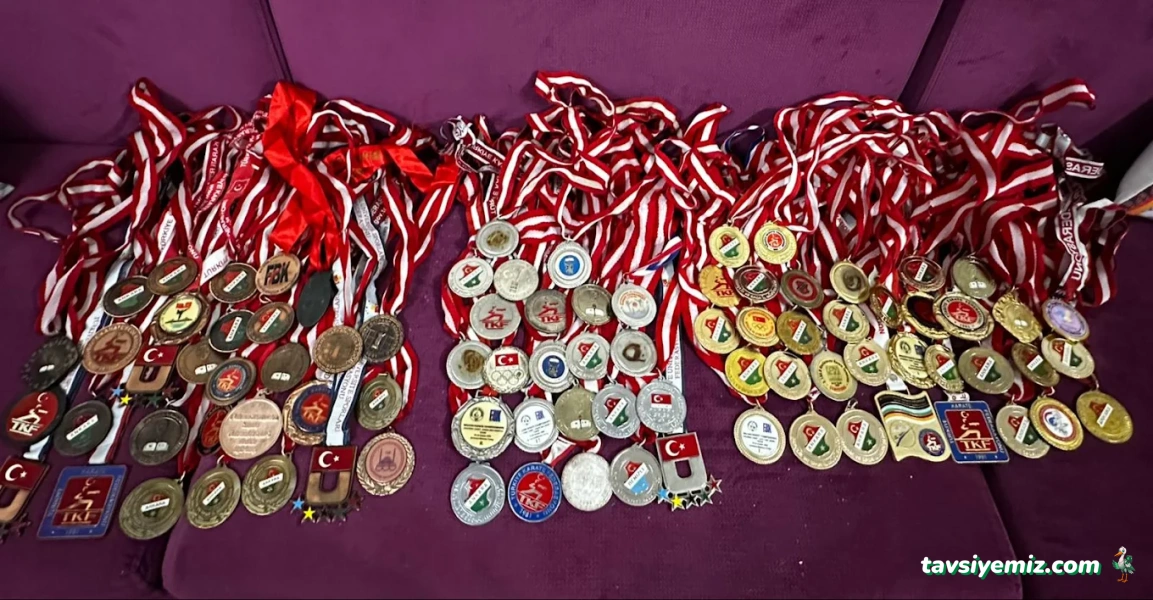 Kdz.ereğli Karate Kdz.ereğli Karate