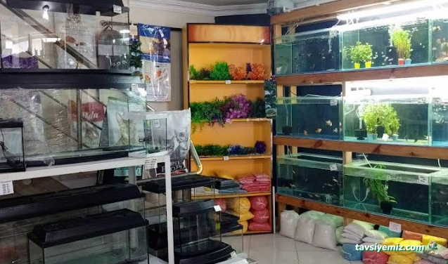 Kerem Petshop