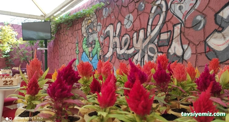 Keyfi Cafe Düzce, Nargile Salonu & Cafe Keyfi Cafe Düzce, Nargile Salonu & Cafe
