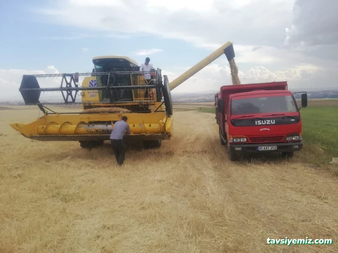 Kırşehir Nakliye Kırşehir Nakliye