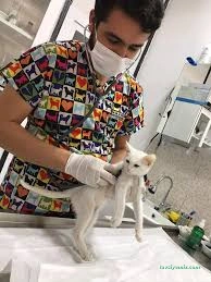 Kırşehir Yaşam Pet Veteriner Kliniği Kırşehir Yaşam Pet Veteriner Kliniği