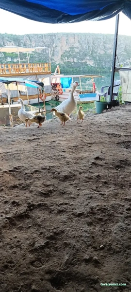 Kızılin Köyü Tekne Turu