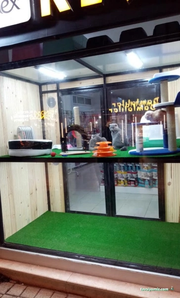 Klas Petshop