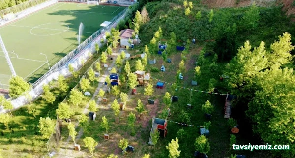 Kocaeli Paintball İzmit Kocaeli Paintball İzmit