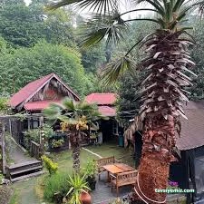 Komşu Cafe Restoran Komşu Cafe Restoran