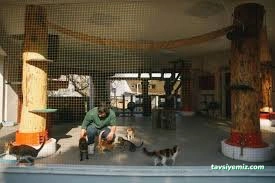 Konak Belediyesi Hayvan Sağlığı Merkezi Konak Belediyesi Hayvan Sağlığı Merkezi