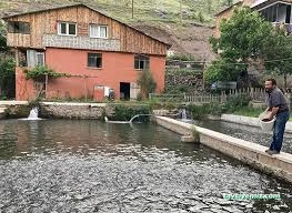 Koşat Alabalık Restoran Koşat Alabalık Restoran