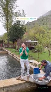 Koşat Alabalık Restoran Koşat Alabalık Restoran