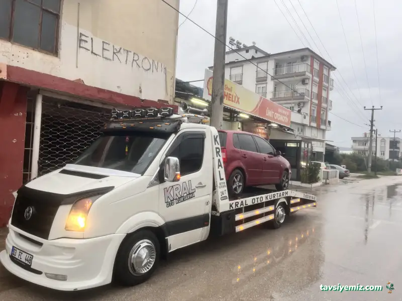 Kral Oto Kurtarma