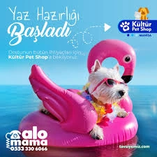 Kültür Petshop Alo Mama Hattı Kültür Petshop Alo Mama Hattı