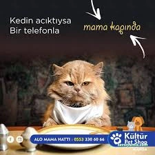 Kültür Petshop Alo Mama Hattı Kültür Petshop Alo Mama Hattı