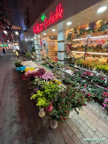 Kütahya Filiz Çiçek Kütahya Filiz Çiçek