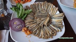 Kuzey Balık Restaurant Kuzey Balık Restaurant